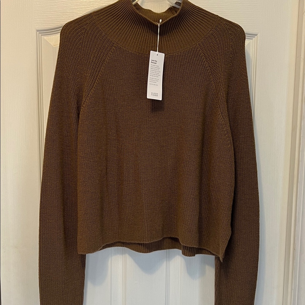 Eileen Fisher Rich Brown Turtleneck Sweater